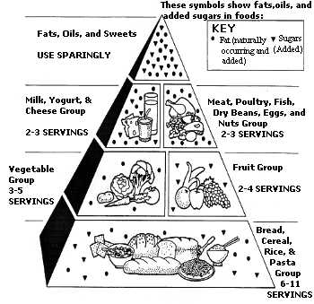 Drawing of the Food Guide Pyramid