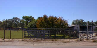 Photo of Rural Scene