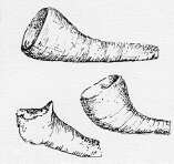 Drawing of Pottery Pipes
