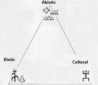 Drawing of an Environmental Triangle