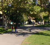 Photo of UNM Campus