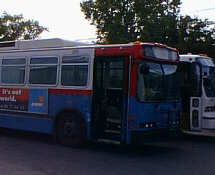Photo of City Buses