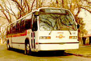 Photo of City Bus