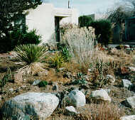 Photo of Xeriscape Yard