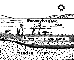 Diagram of Ancient Sea Bed
